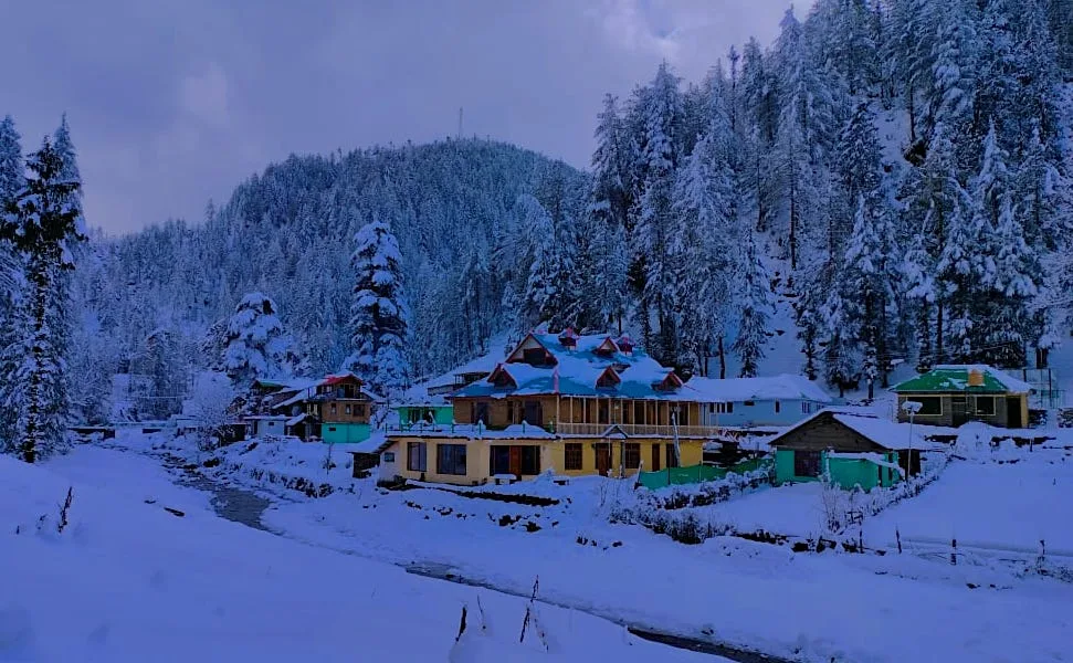Shiva Valley Homestay, photo 1