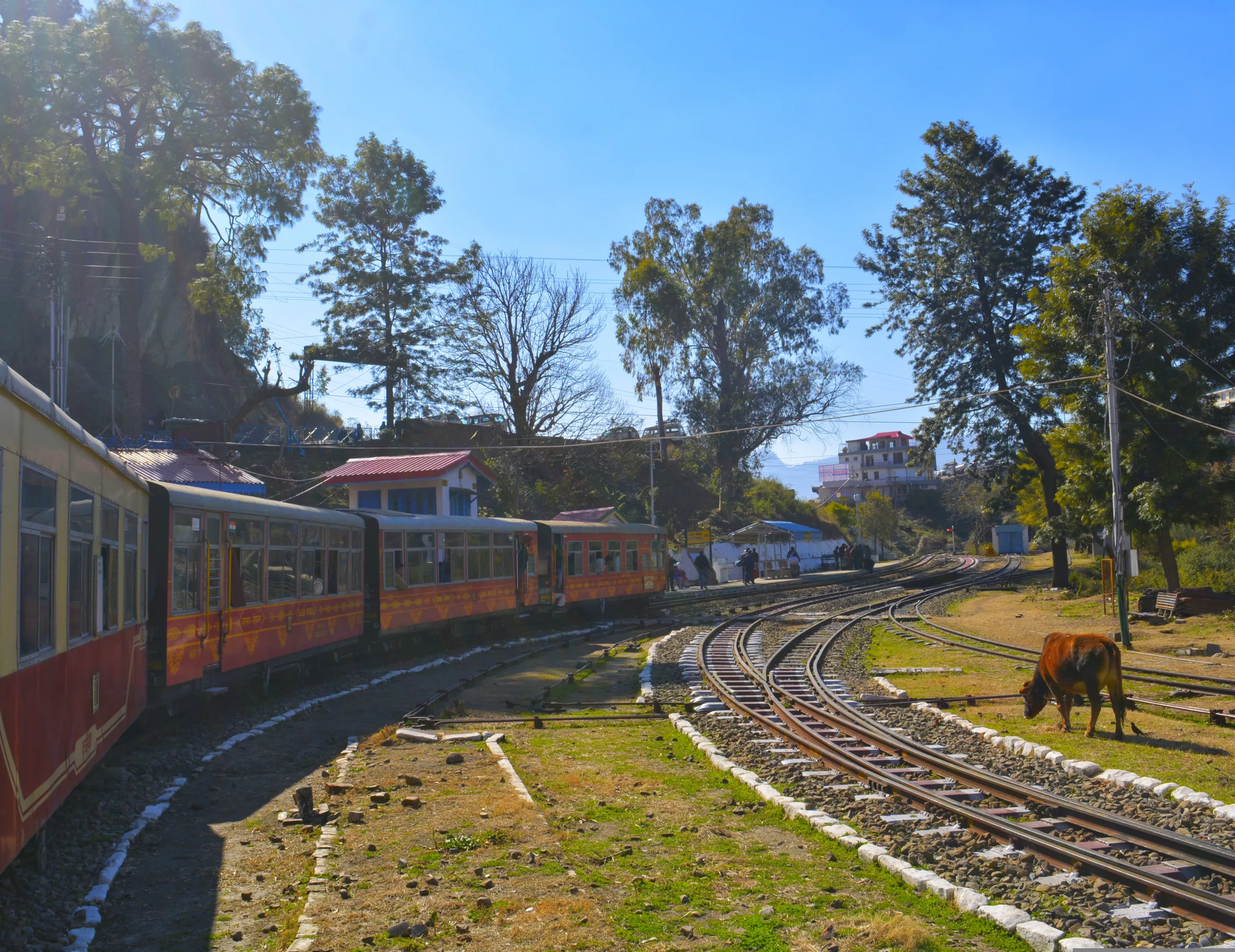 Shimla Manali Holiday Package, photo 1