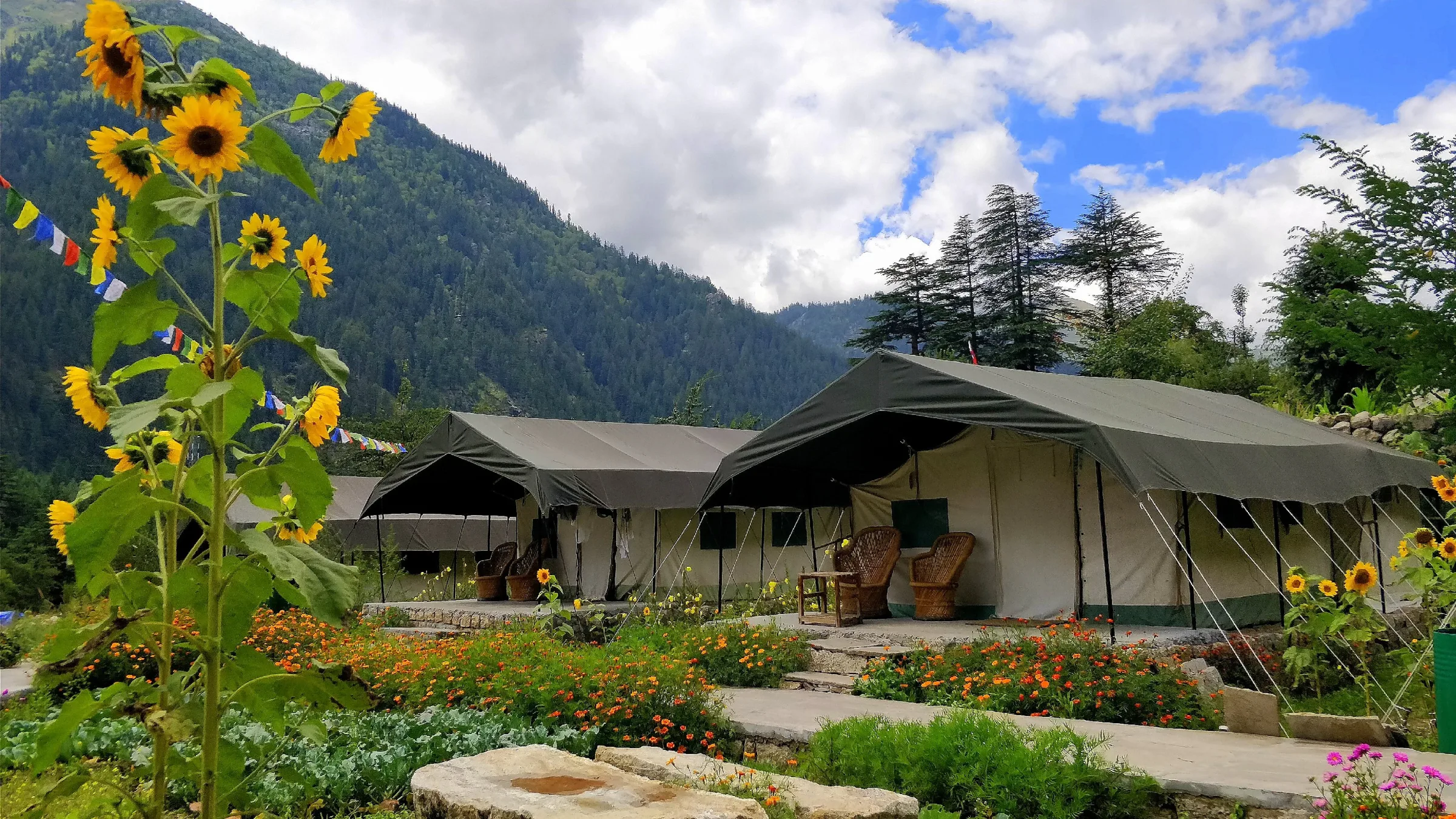 Kinner Camps, photo 4